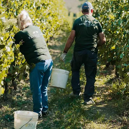 La Della Tenuta Di Tavignano Gasthof *