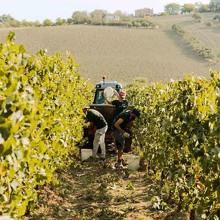 Gasthof La Della Tenuta Di Tavignano *