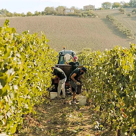 La Della Tenuta Di Tavignano * Cervidone