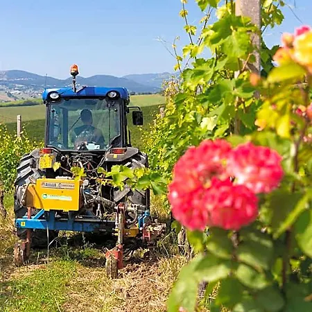 La Della Tenuta Di Tavignano * Cervidone